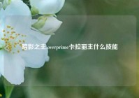 暗影之主,overprime卡拉丽主什么技能