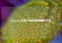 dnfwg.com,求地下城的最新辅助工具