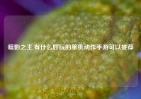 暗影之主,有什么好玩的单机动作手游可以推荐