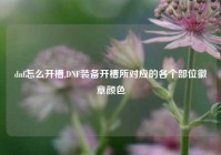 dnf怎么开槽,DNF装备开槽所对应的各个部位徽章颜色