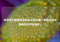 绝地求生刺激战场的信号枪在哪（刺激战场中哪里的信号枪最多）