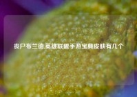 丧尸布兰德,英雄联盟手游宝典皮肤有几个