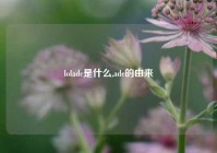 loladc是什么,adc的由来