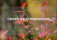 个股评测王,股票开户风险评估怎么填好