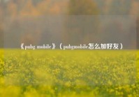 《pubg mobile》（pubgmobile怎么加好友）