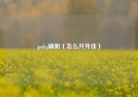 pubg辅助（怎么开外挂）