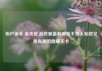 丧尸杀手 金克丝,游戏里面有哪些不为人知但又很有趣的隐藏关卡