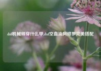 dnf机械师穿什么甲,dnf空血流阿修罗完美搭配