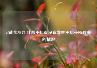 cf黄金小刀,吐蕃王朝有没有发生王后干预政事的情况