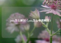 pubg怎么解封（pubg怎么申请解封）