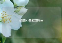 cf连狙,CF里的新的VSK