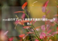 steam运行不了pubg（绝地求生端游只能在steam下吗）