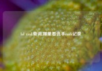 lol rank查询,哪里看选手rank记录