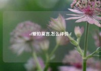 cf爱拍莫言,怎么评价cf