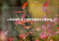 dnf时装属性,地下城时装属性怎么重新选