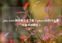 pubg mobile国际服安卓下载（pubgmobile为什么显示服务器繁忙）