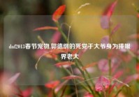 dnf2013春节宠物,郭德纲的死党于大爷身为捧哏界老大