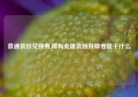 普通装扮兑换券,稀有克隆装扮升级卷能干什么