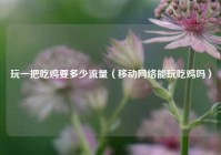 玩一把吃鸡要多少流量（移动网络能玩吃鸡吗）