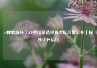 cf体验服补丁,CF登陆游选择着大区后显示补丁程序正在运行