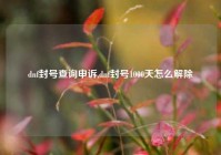 dnf封号查询申诉,dnf封号1000天怎么解除