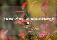 吃鸡隐藏历史战绩（和平精英怎么没有隐私设置）