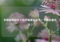 手游吃鸡段位（和平精英钻石下一个段位是什么）