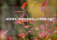 cf机枪弹夹,cf里哪些枪能给cop主弹夹加子弹