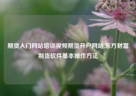 期货入门网站培训视频期货开户网站,东方财富期货软件基本操作方法