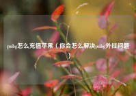 pubg怎么充值苹果（你会怎么解决pubg外挂问题）