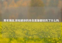 青年瑞兹,你知道你的本命英雄都经历了什么吗