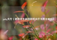 pubg大厅（绝地求生返回游戏大厅卡死无响应）