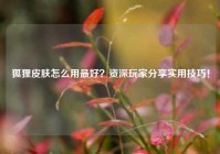 狐狸皮肤怎么用最好？资深玩家分享实用技巧！