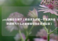 pubg自瞄挂在哪下（绝地求生这样一个充满外挂的游戏为什么还能够吸引如此多的玩家）