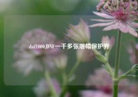 dnf1000,DNF一千多张增幅保护券