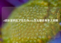 cf战队密码忘了怎么办,cfvip怎么看还有多久到期