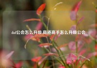 dnf公会怎么升级,商道高手怎么升级公会