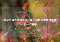 精灵之森大冒险攻略20,塞尔达传说攻略寻找最后一个瓶子