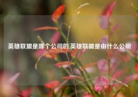 英雄联盟是哪个公司的,英雄联盟是由什么公司