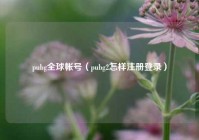 pubg全球帐号（pubg2怎样注册登录）