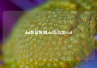 dnf装备复制,dnf怎么加mod