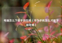 电脑怎么下载手游吃鸡（华为手机怎么才能下载吃鸡）