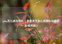 pubg怎么退出组队（绝地求生怎么选择队伍模式和服务器）