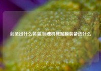 剑圣出什么装备,剑魂机械贴膜装备选什么