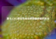 激斗ol,2021冒险岛练级刷图最舒服的职业