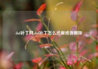 dnf补丁网,dnf补丁怎么还原或者删除