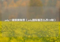 pubg一键极限帧率（pubg国际服怎么改120帧）