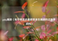 pubg端游（和平精英还是绝地求生端游的正版手游吗）