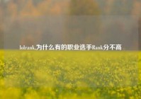 lolrank,为什么有的职业选手Rank分不高