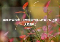 黑鹰s吃鸡设置（你曾经因为什么放弃了玩了很久的游戏）